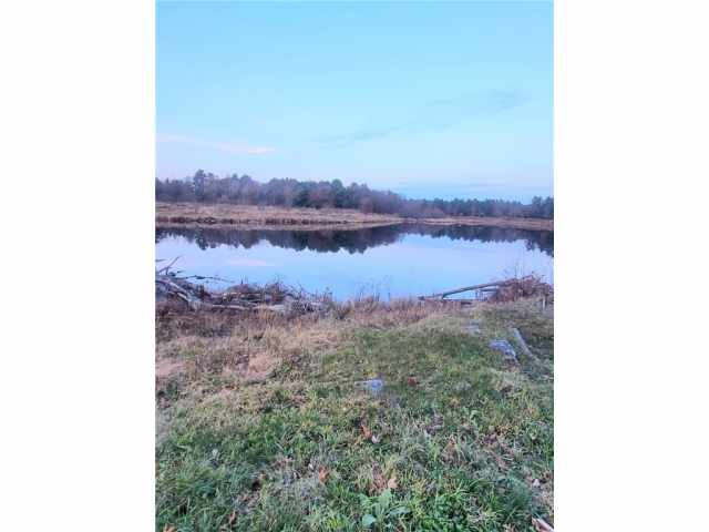 Neillsville Land Real Estate