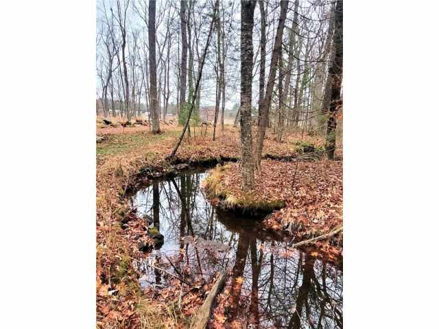 Neillsville Land Real Estate