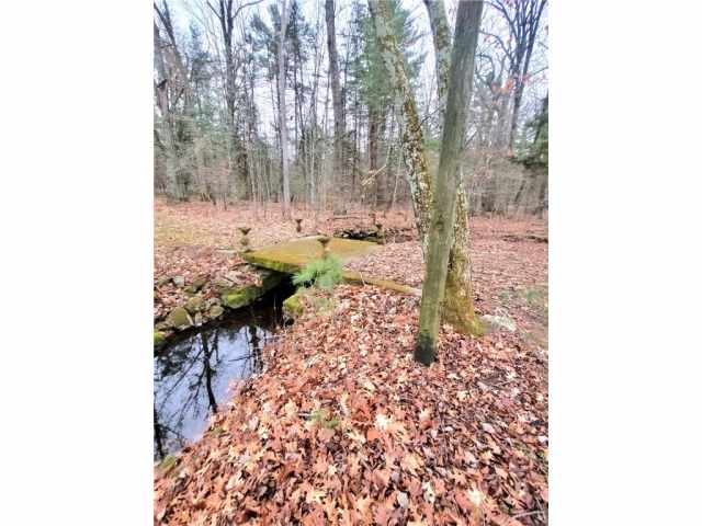 Neillsville Land Real Estate