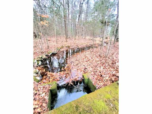 Neillsville Land Real Estate