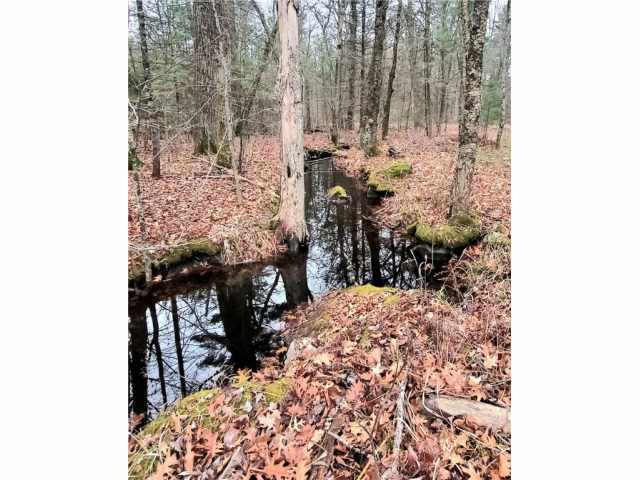 Neillsville Land Real Estate