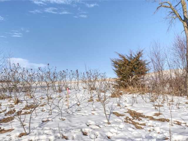 Mondovi Land Real Estate