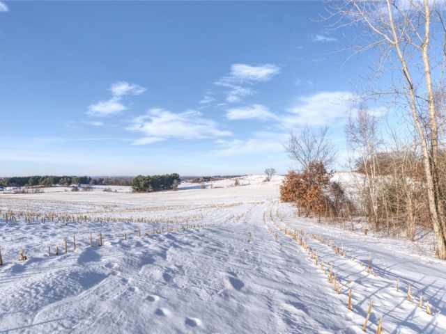 Mondovi Land Real Estate