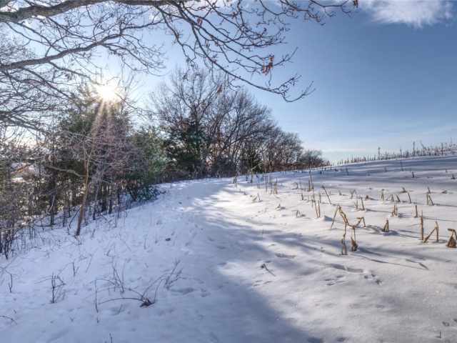 Mondovi Land Real Estate