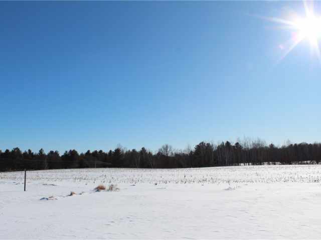 Siren Residential Real Estate