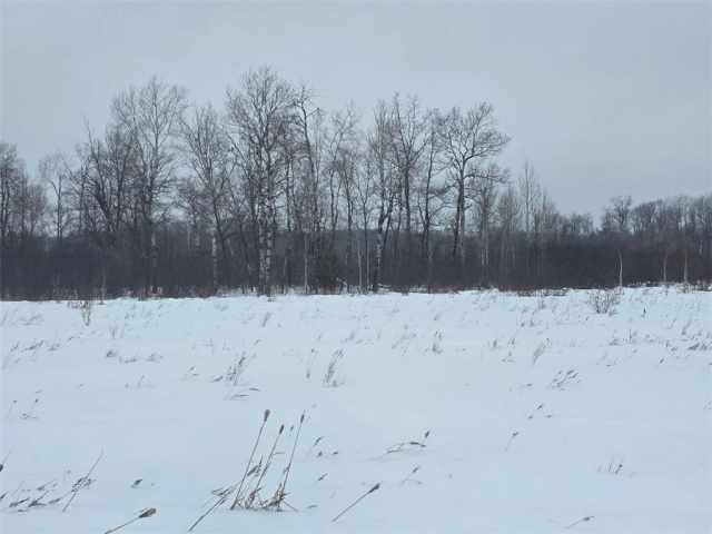 Cumberland Land Real Estate