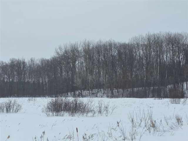 Cumberland Land Real Estate