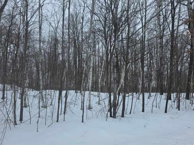 Cumberland Land Real Estate