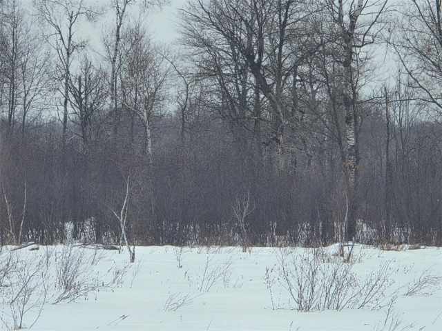 Cumberland Land Real Estate