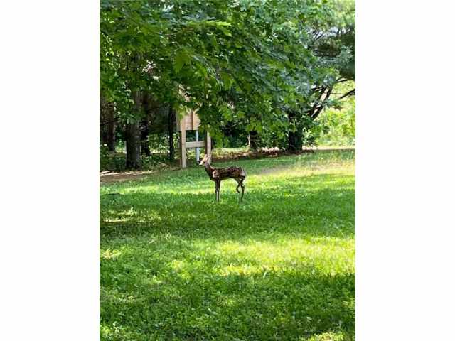 Menomonie Land Real Estate