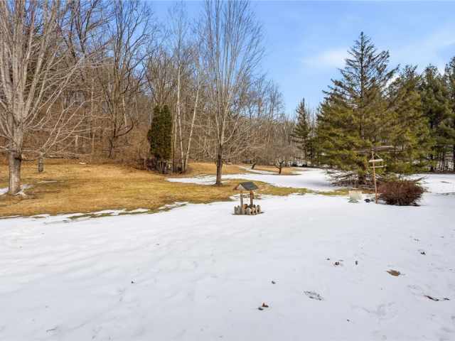 Downing Residential Real Estate