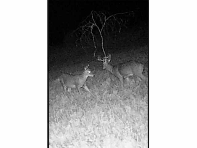 Eau Claire Residential Real Estate