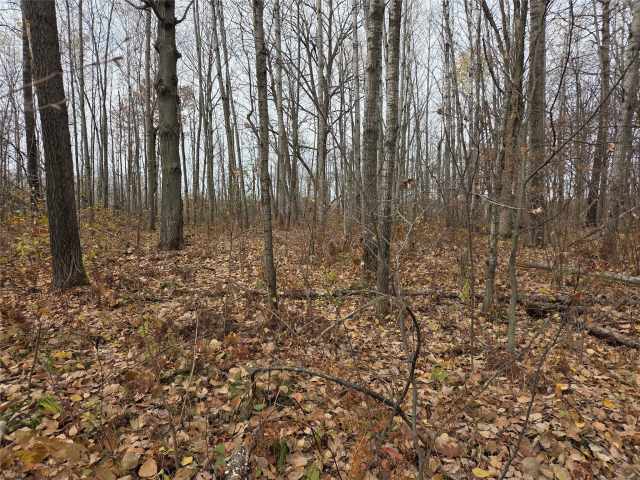 Rice Lake Land Real Estate