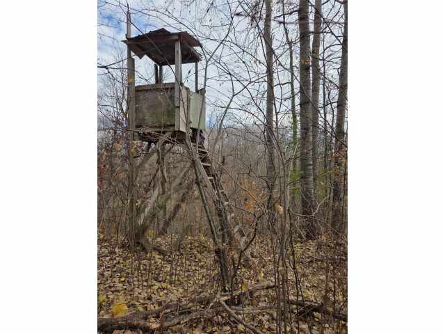 Rice Lake Land Real Estate
