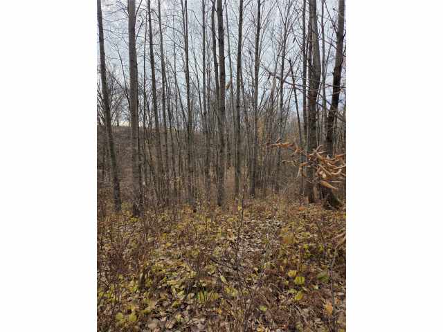 Rice Lake Land Real Estate