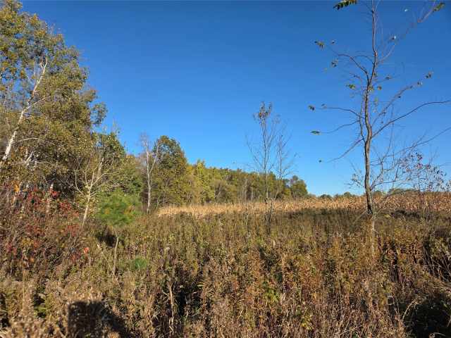 Rice Lake Land Real Estate