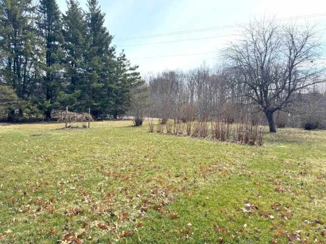 Almena Residential Real Estate