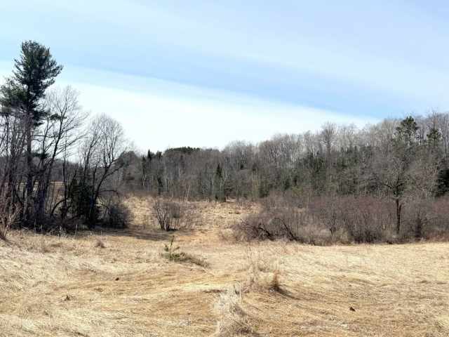 Almena Residential Real Estate