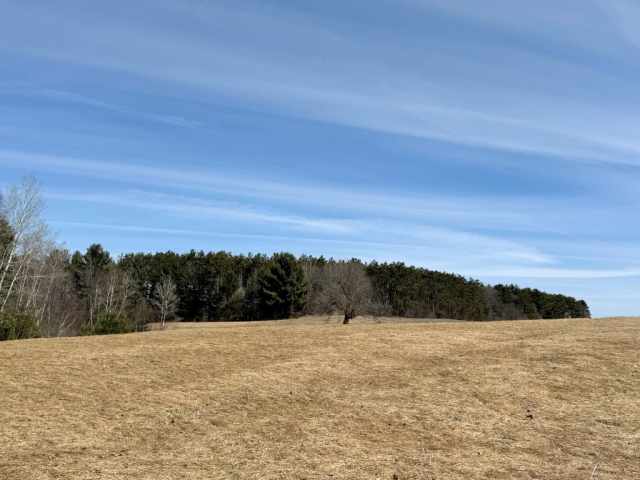 Almena Residential Real Estate