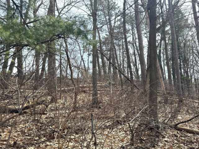 Almena Residential Real Estate