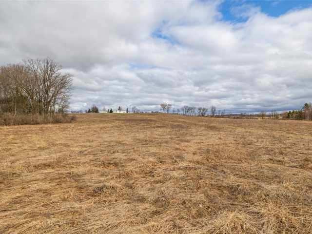 Neillsville Residential Real Estate