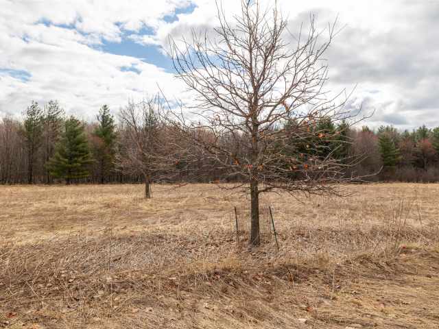 Neillsville Residential Real Estate