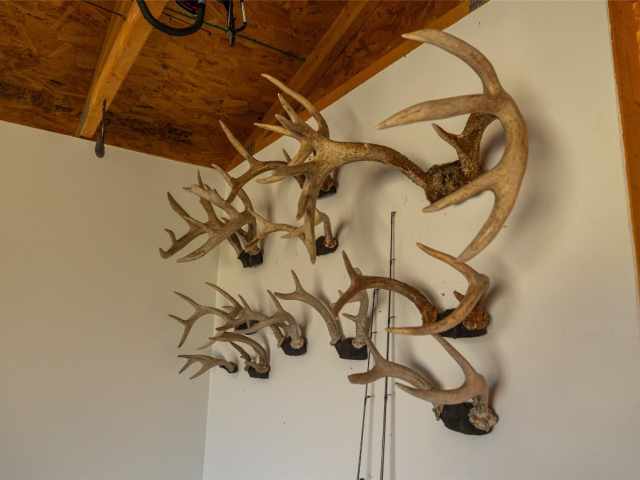 Neillsville Residential Real Estate