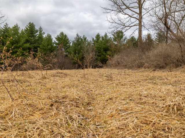 Neillsville Residential Real Estate