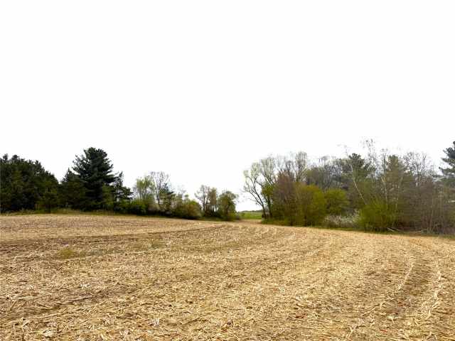 Hixton Land Real Estate