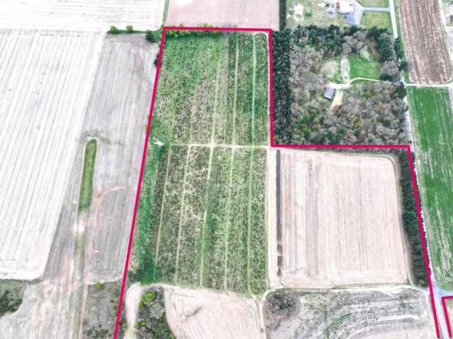 Hixton Land Real Estate