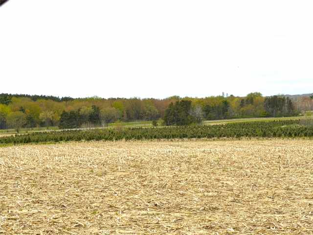 Hixton Land Real Estate