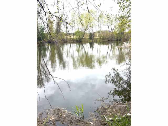 Hixton Land Real Estate