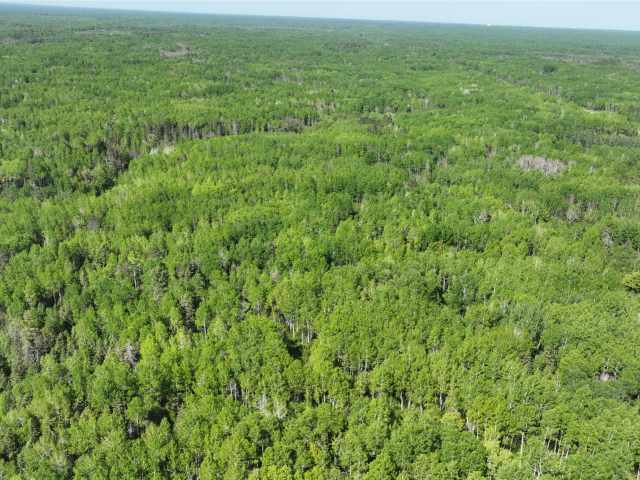 Superior Land Real Estate