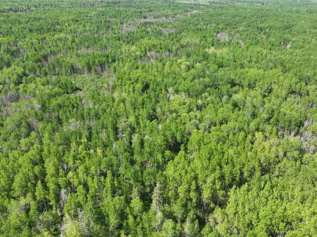 Superior Land Real Estate