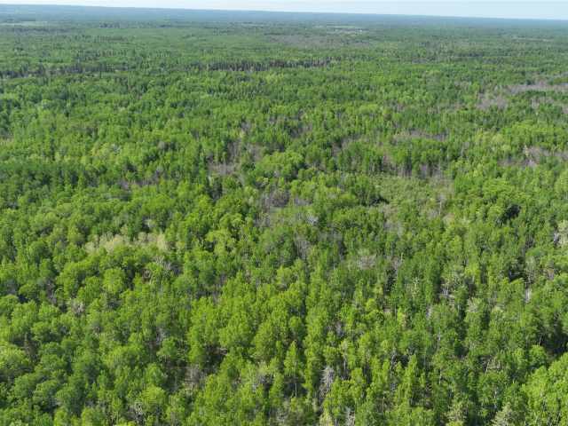 Superior Land Real Estate
