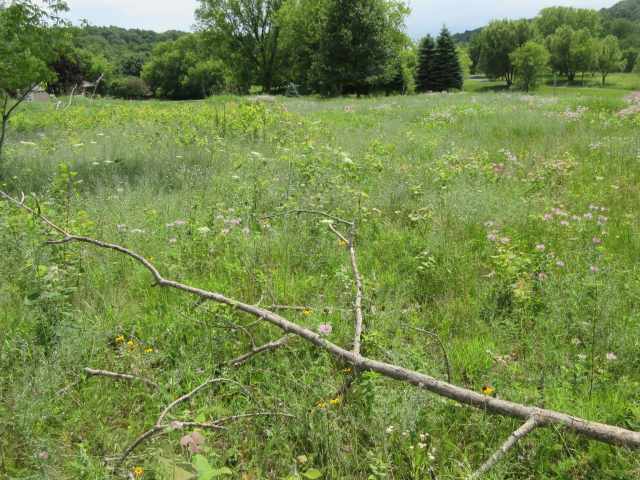 Menomonie Land Real Estate