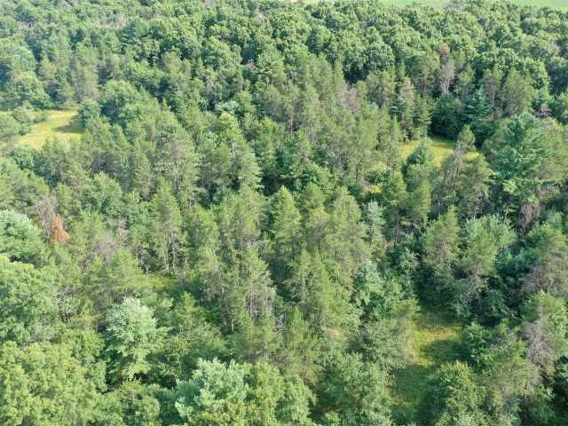 Fairchild Land Real Estate