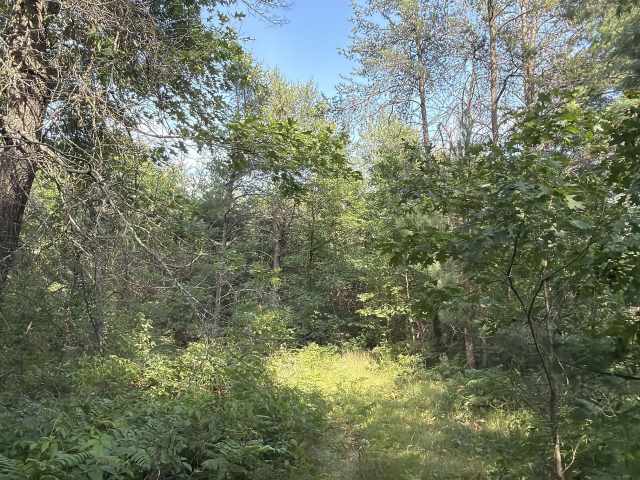 Fairchild Land Real Estate