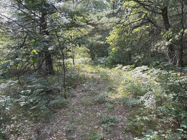 Fairchild Land Real Estate