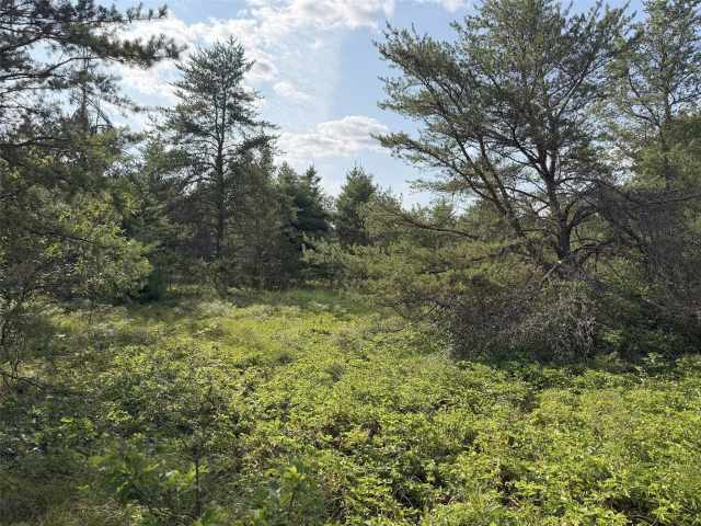 Fairchild Land Real Estate