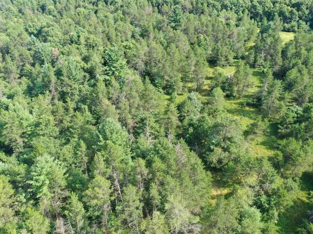 Fairchild Land Real Estate