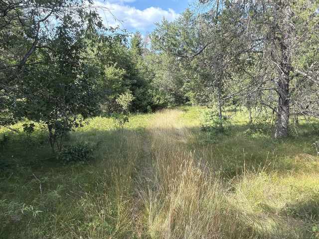 Fairchild Land Real Estate