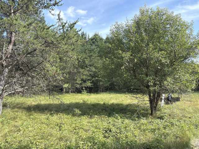 Fairchild Land Real Estate