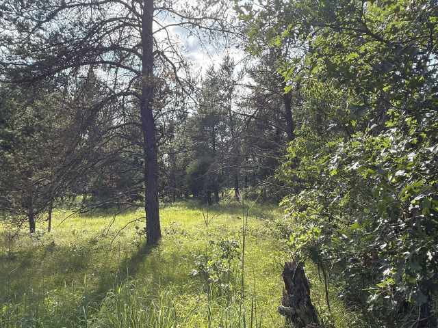 Fairchild Land Real Estate