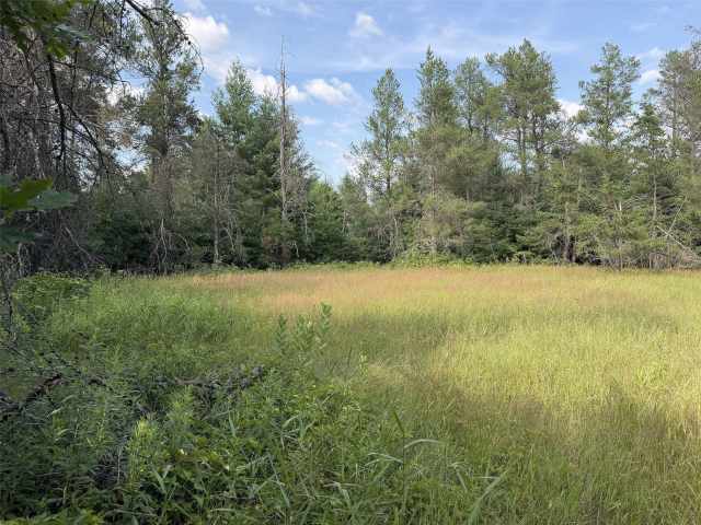 Fairchild Land Real Estate