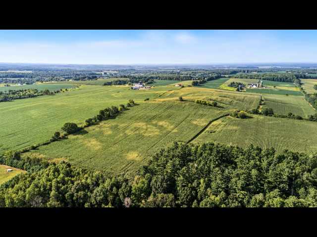 Bloomer Land Real Estate