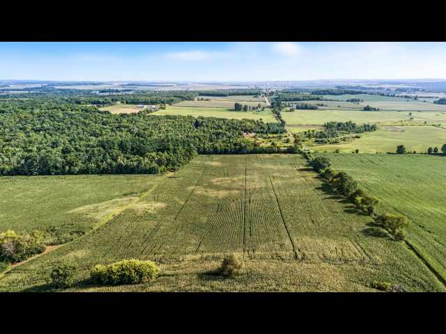 Bloomer Land Real Estate