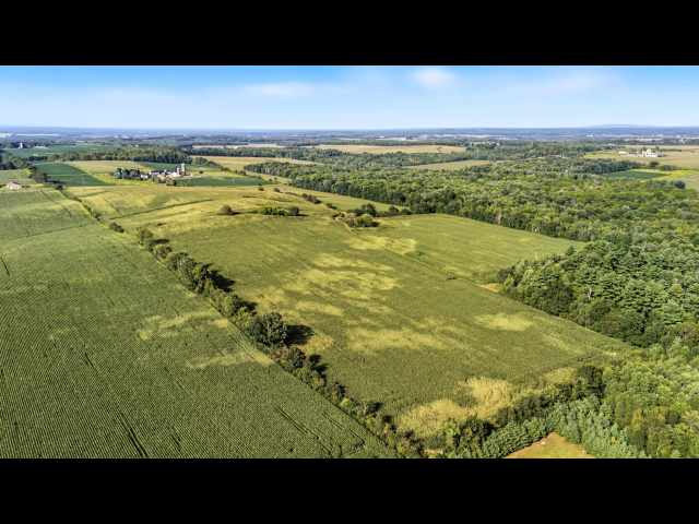 Bloomer Land Real Estate