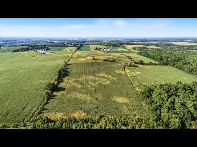 Bloomer Land Real Estate