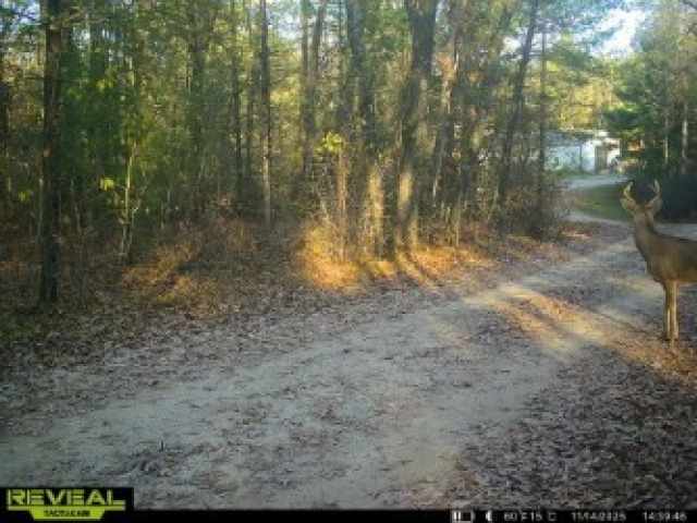 Black River Falls Residential Real Estate